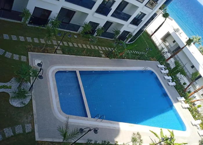 Ege Birlik Seasight *